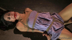 HT - Squirmy Squirrel - Sexy Girl Lyla Storm, Jack Hammer