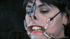 Infernalrestraints - Timid Tits
