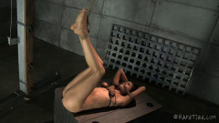 HT - Squirmy Squirrel - Jack Hammer and Latina Girl Lyla Storm
