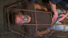 Helpless and caged like an animal
