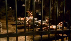 Kiss of the scorpion