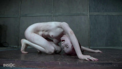 InfernalRestraints - Giggles - Penny Lay