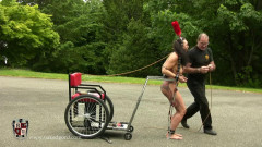 Callisto Naked and Whipped into action