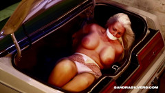 Sandra Silvers, P.I. Tied in the Trunk!