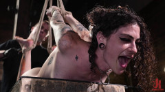 Lydia Black Endures