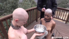 Shaveing And Staples (Brutal Master Edition)