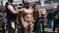 Dore Alley Pig