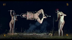 Extreme BDSM Collection