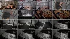 Life BDSM part 2 | Download from Files Monster