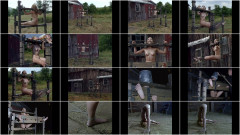 Wenona barn swallow part 1 | Download from Files Monster
