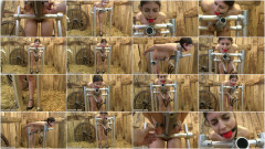Hucows LittleRedGirl – locked udders | Download from Files Monster
