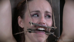 Crocodile Tears | Download from Files Monster