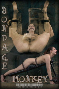 Endza Bondage Monkey Part 3 | Download from Files Monster