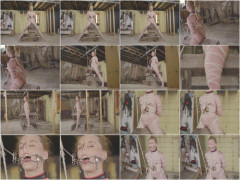 Ariel Anderssen - The Assumption Ariels Version - Episode 10 | Download from Files Monster
