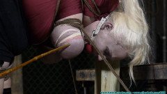 Vicious Vamp's Strict Stappado - Part 3 Futilestruggles | Download from Files Monster