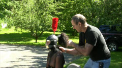 Pony Carting - 2011 style | Download from Files Monster