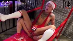 OnlyFans - Christmas Anal | Download from Files Monster