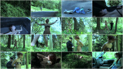 Hitchhiker's Guide to the Grave - Scarlett Mae | Download from Files Monster