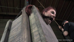 Ashley Lane is someone | Download from Files Monster