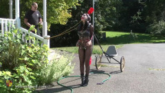 Ashley Renee in Harness | Download from Files Monster