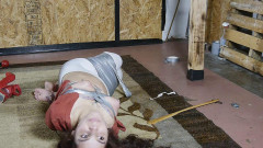 Futilestruggles - Ginary Hogtaped | Download from Files Monster