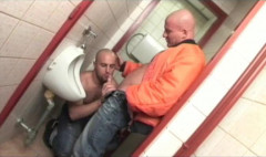 Gay - Skinheads 400p | Download from Files Monster