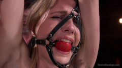 Warning!! Devastating Torment And Extreme Suffering!!! | Download from Files Monster