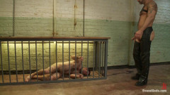 Bound in the sleepsack, submerged under water and made to cum | Download from Files Monster