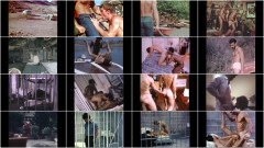 The 1970s falcon icons | Download from Files Monster