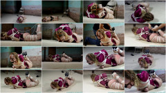 Futilestruggles - Diamondly's First Hogtie - Part 3 | Download from Files Monster