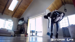 Greyhound Cleaning Service | Download from Files Monster