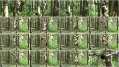 Jenia Agony On The Cross part 7 | Download from Files Monster