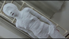 Cocoa Soft Scene Coma009d | Download from Files Monster