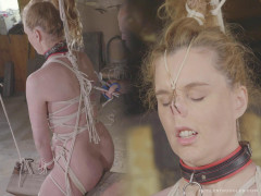 Ariel Anderssen - The Assumption Ariels Version - Episode 12 | Download from Files Monster