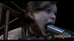 The Gallery | Download from Files Monster