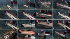Wired Up Suspension | Download from Files Monster