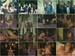 Erotic Flash 1981's Part 5 | Download from Files Monster
