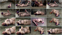 Gia Love Hogzipped Part 3 | Download from Files Monster