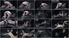 Calico Part 3 | Download from Files Monster